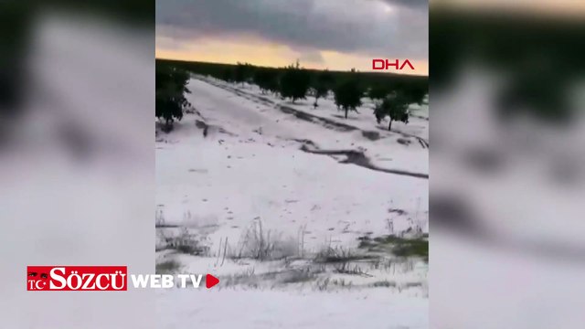 Adana'da dolu yağışı; narenciye bahçeleri zarar gördü