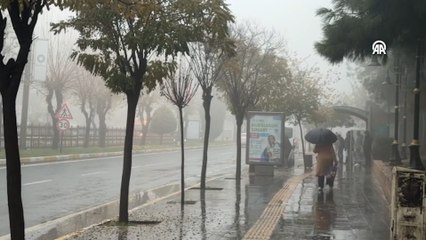 Mardin'de yağmur ve sis etkili oldu