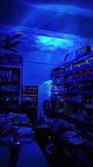 Quace Astronaut Space Projector, Starry Nebula Ceiling LED Lamp with Timer and Remote