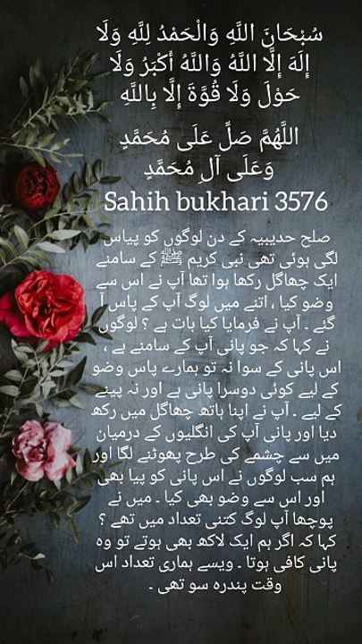 Sahih bukhari 3576