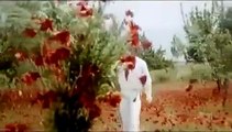 Gunche Lage Hain Kehne - Shailendra Singh Classic Romantic Hit Song - Taraana