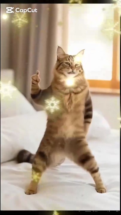 Cat multivitamin
