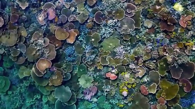 Inside the Enchanted Waterways S01E01