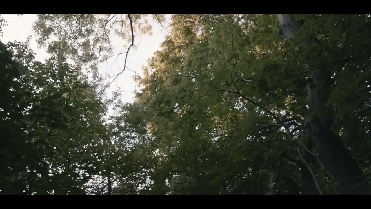 Filme Completo Floresta esconde caçadores sedentos de vingança - Filme de Terror - Completo em Português