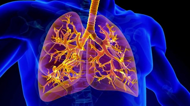How Sour Foods Affect Your Lungs: Myth, Fact & Science