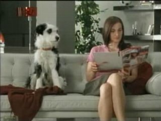 Femme actuelle chien pub