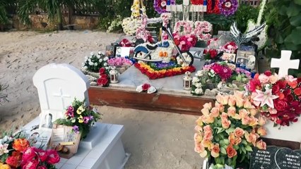 2020 – Johnny Hallyday : le 15 janvier, la tombe transférée à Saint-Barthélemy (AFP News)