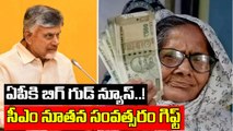 AP Govt New Year Gift To Pensioners ఎన్‌టీఆర్ భరోసా అప్డేట్ | CM Chandrababu Naidu | Oneindia Telugu