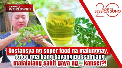Malunggay, totoo nga bang kayang puksain ang sakit gaya ng kanser?! | Kapuso Mo, Jessica Soho