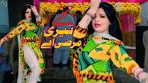 Jithe Teri Marzi Ae,Hani Sheikh,New Mujra Dance,Nice Performance 2026,S Studio