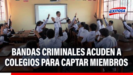 Bandas criminales acuden a colegios para captar miembros, advierte exviceministro