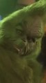 Jim Carrey a failli abandonner le rôle du Grinch à cause de son costume 🤯