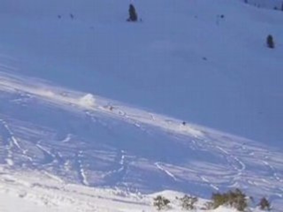 Ski-areche