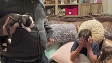 The Kids Met Their New Puppy… And Their Reactions Are Pure Magic|| Heartsome 💖