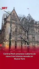 ❄️🏙️ Tras la intensa nevada registrada durante la noche, Central Park amaneció cubierto por una gruesa capa de nieve, regalando espectaculares postales en New York City, Estados Unidos.