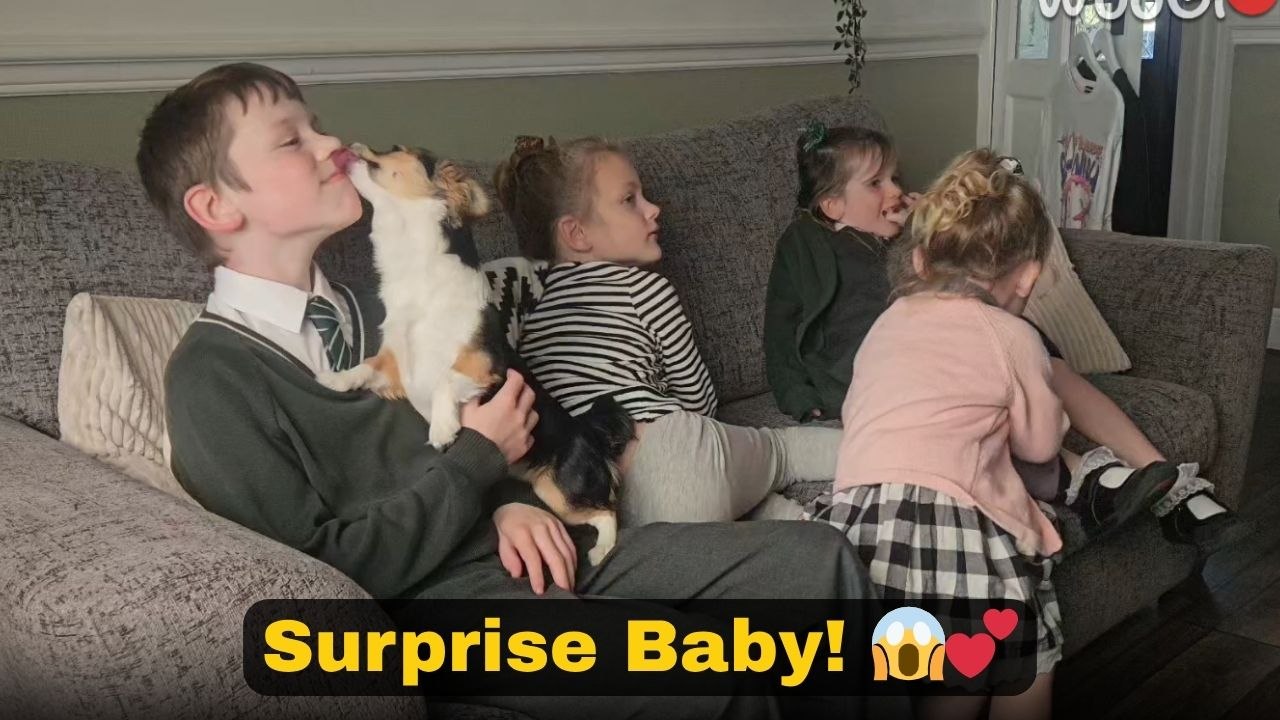 Kids react adorably after learning they are getting a new sibling