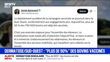 Dermatose nodulaire: la ministre de l'Agriculture Annie Genevard indique que "plus de 50%" des bovins ont été vaccinés dans le sud-ouest