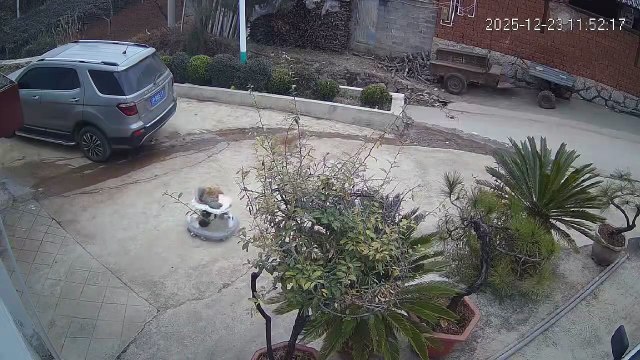 Ce bébé a décidé de quitter la maison... adieuuuu