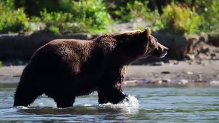 Inside the Enchanted Waterways S01E03