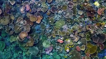 Inside the Enchanted Waterways S01E01