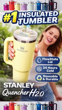 STANLEY Quencher H2.0 (30 oz) 💛 The #1 Insulated Tumbler Everyone Is Buying