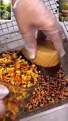 New ICE Cream gelato#icecream #dessert #food #cake #chocolate #foodie #streetfood #shortvideo