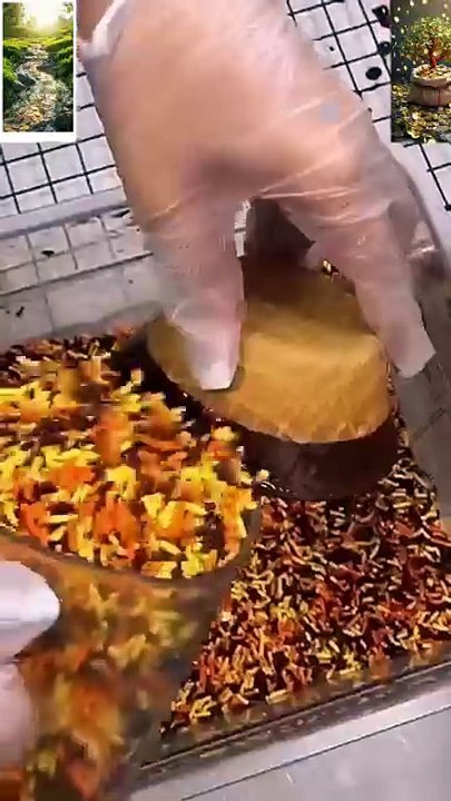 New ICE Cream gelato#icecream #dessert #food #cake #chocolate #foodie #streetfood #shortvideo