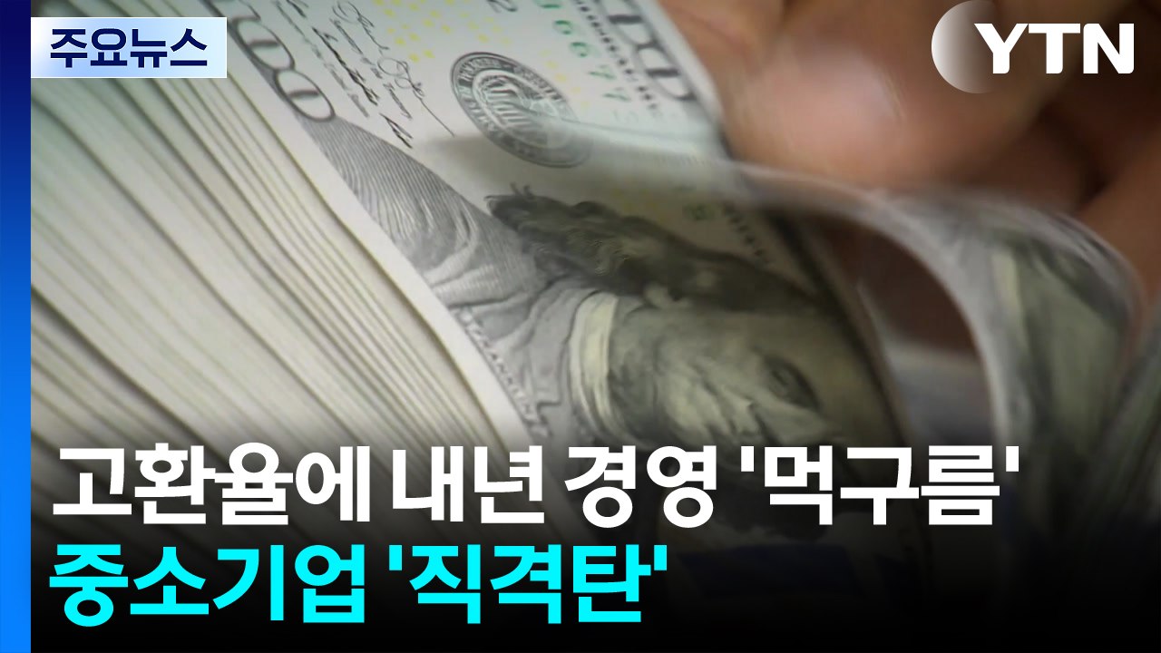고환율에 내년 경영 '먹구름'...중소기업 '직격탄' / YTN