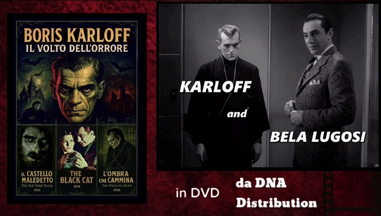 BORIS KARLOFF, IL VOLTO DELL'ORRORE - 3 Film  (Dvd)