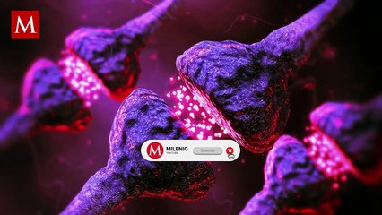 Yolanda Andrade revela su lucha contra enfermedad degenerativa