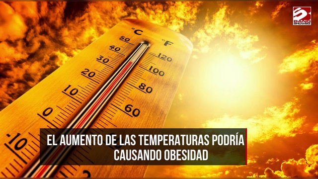 El aumento de las temperaturas podría estar causando obesidad