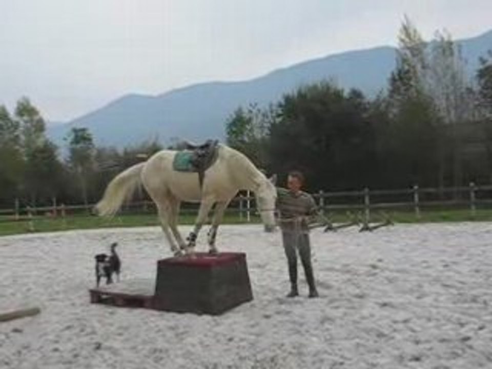 Jeanmi et Joker - Monter sur un plot