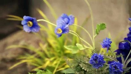 Beyond Live - Stray Kids 2nd World Tour "MANIAC" in Japan | movie | 2022 | Official Teaser