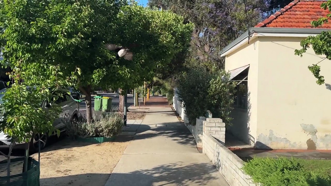 Proud Indigenous cousins teach university classes to keep the Noongar language alive