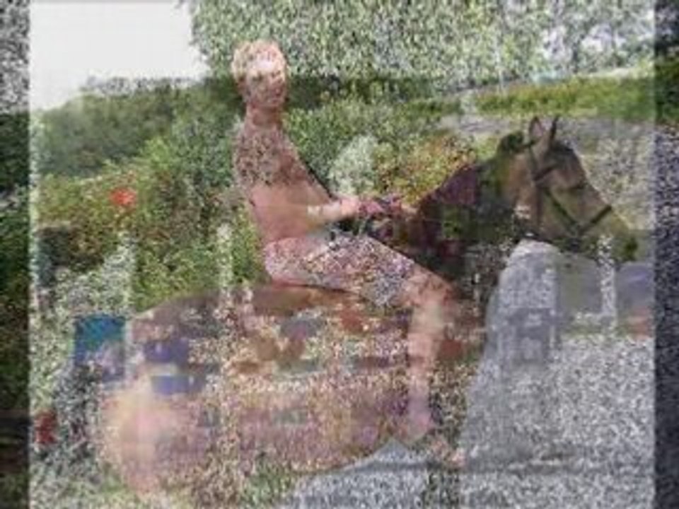 PONEYS DU BLIN EN VRAC