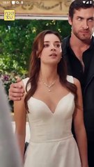 Meet My Mafia King On Christmas