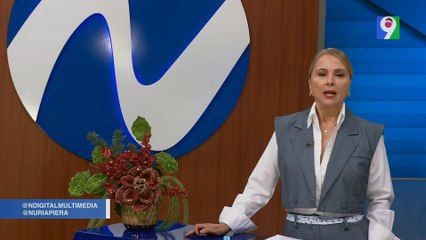 Irregularidades en las Licitaciones Públicas | Nuria Piera