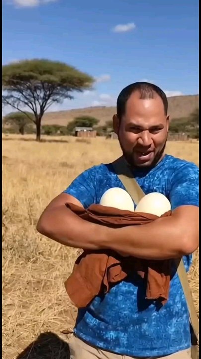 Estaba intentando robarme huevos de avetruz en...