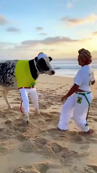 Senhora jogando capoeira com  a vaca