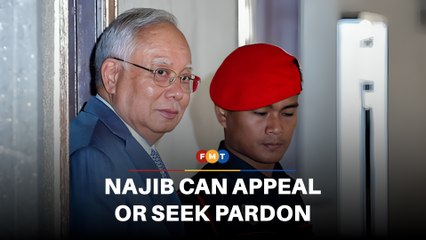 Najib has option to seek pardon or appeal 1MDB conviction, say lawyers