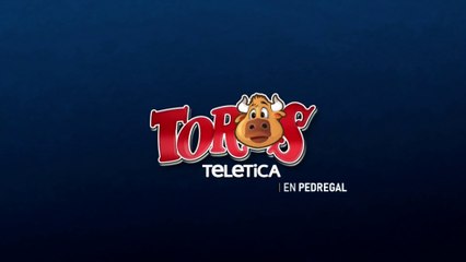 Toros en pedregal 27 diciembre 2025