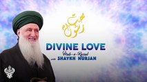 THE 11 PRINCIPLES OF THE NAQSHBANDI SUFI ORDER- AN OVERVIEW⎮ Sufi Meditation Center E220