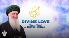 THE 11 PRINCIPLES OF THE NAQSHBANDI SUFI ORDER- AN OVERVIEW⎮ Sufi Meditation Center E220