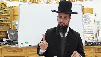 מו"ר הגאון הרב שקד בוהדנה שליט"א - שער המצוות שיעור מז: דין נדה