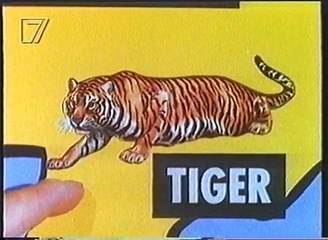 Im Reich der Wilden Tiere - Die Welt der Großkatzen