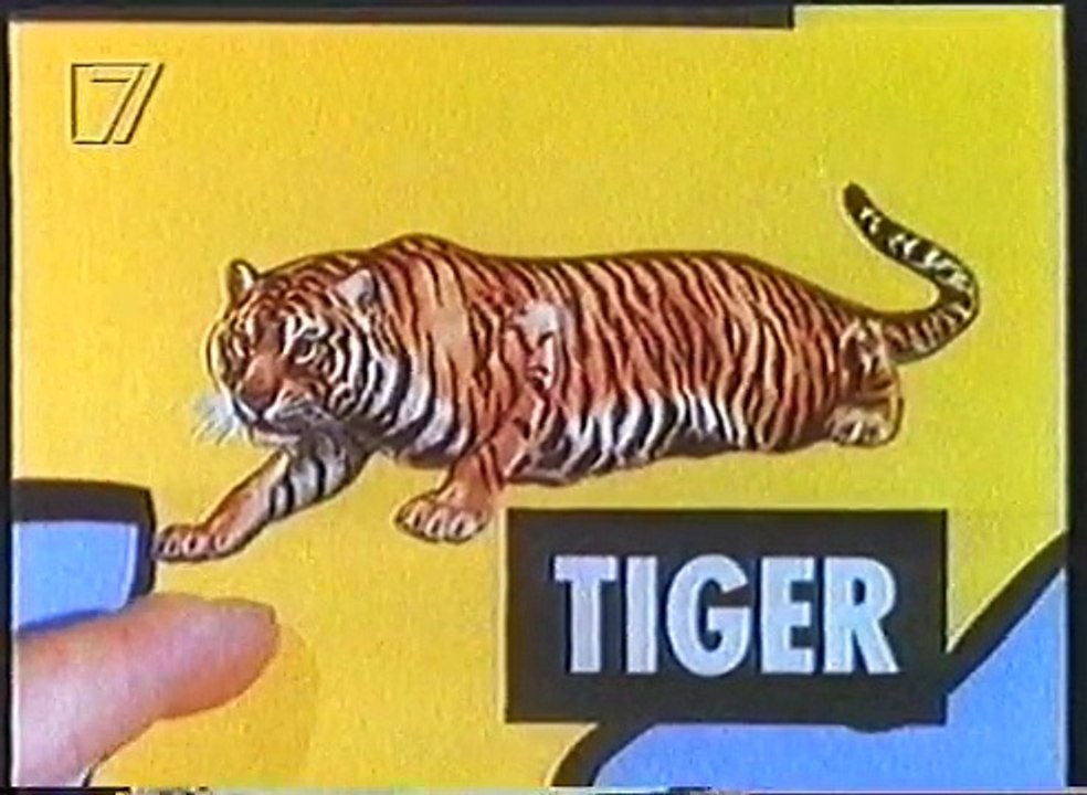 Im Reich der Wilden Tiere - Die Welt der Großkatzen