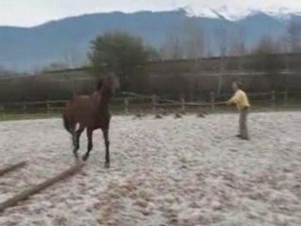 Jeanmi et Reine - Travail sur le cercle