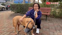 比特犬》猛犬也能繞指柔！邱珮芬的「邱比特」曾是被棄流浪狗