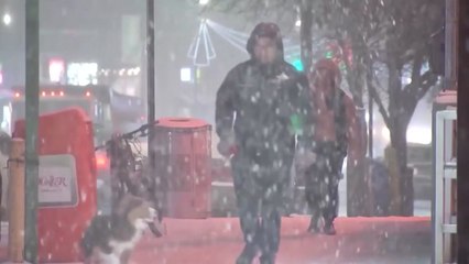 뉴욕에 3년 만에 최대 폭설...항공기 수천 편 결항·지연 / YTN