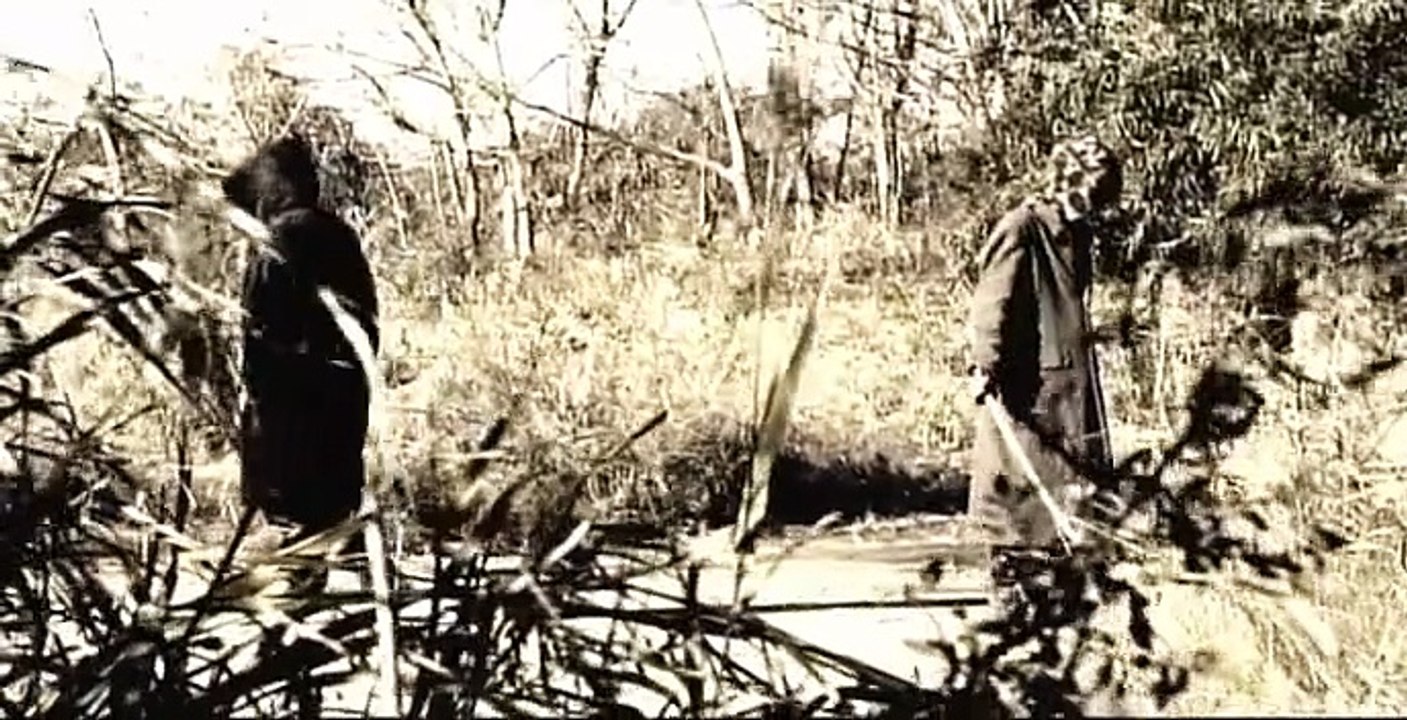 OneChanbara - The Movie